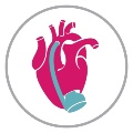 Mechanical Circulatory Support Interdisciplinary Network Logo