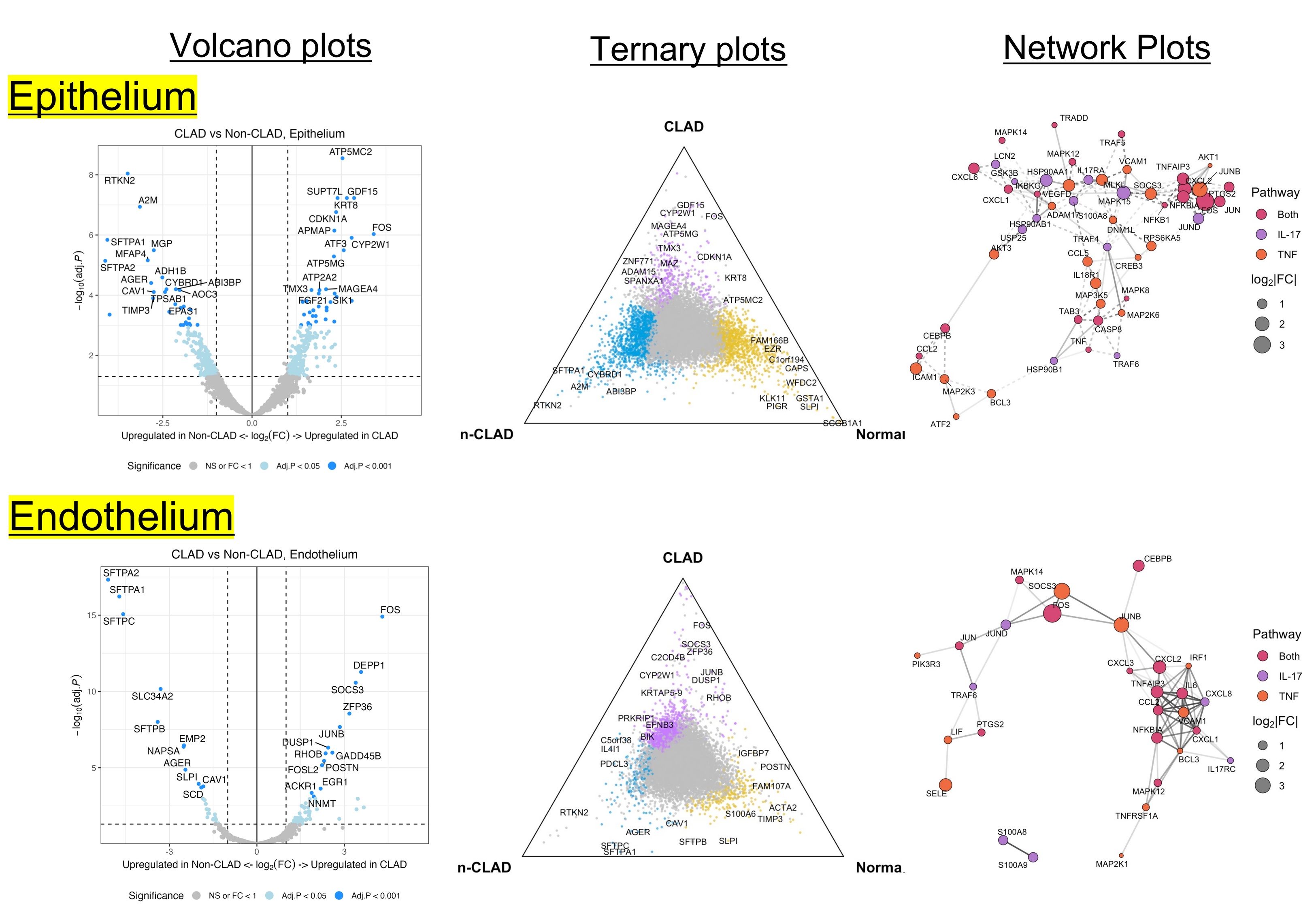 Featured Poster Presentation from Poster 450