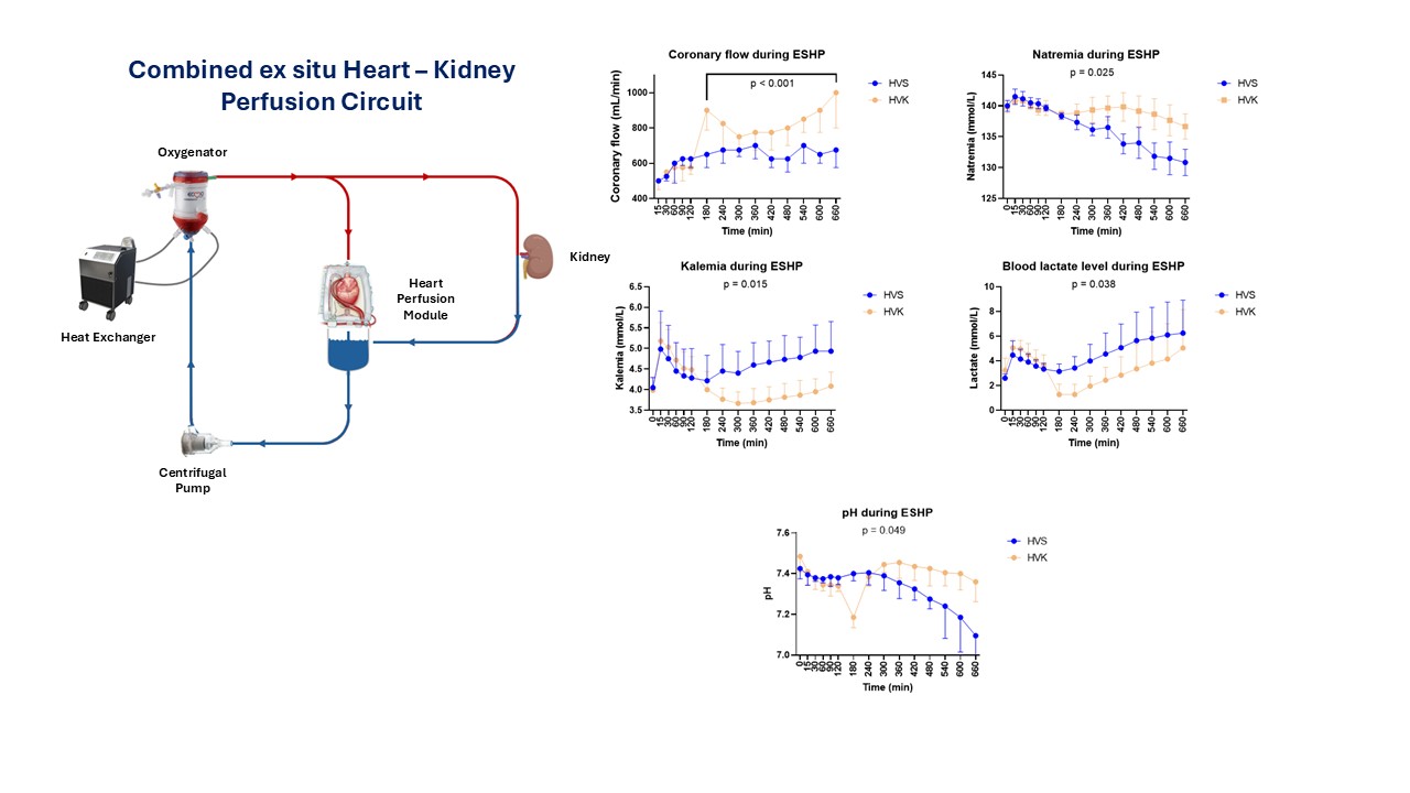 Featured Poster Presentation Graphic from Poster 437