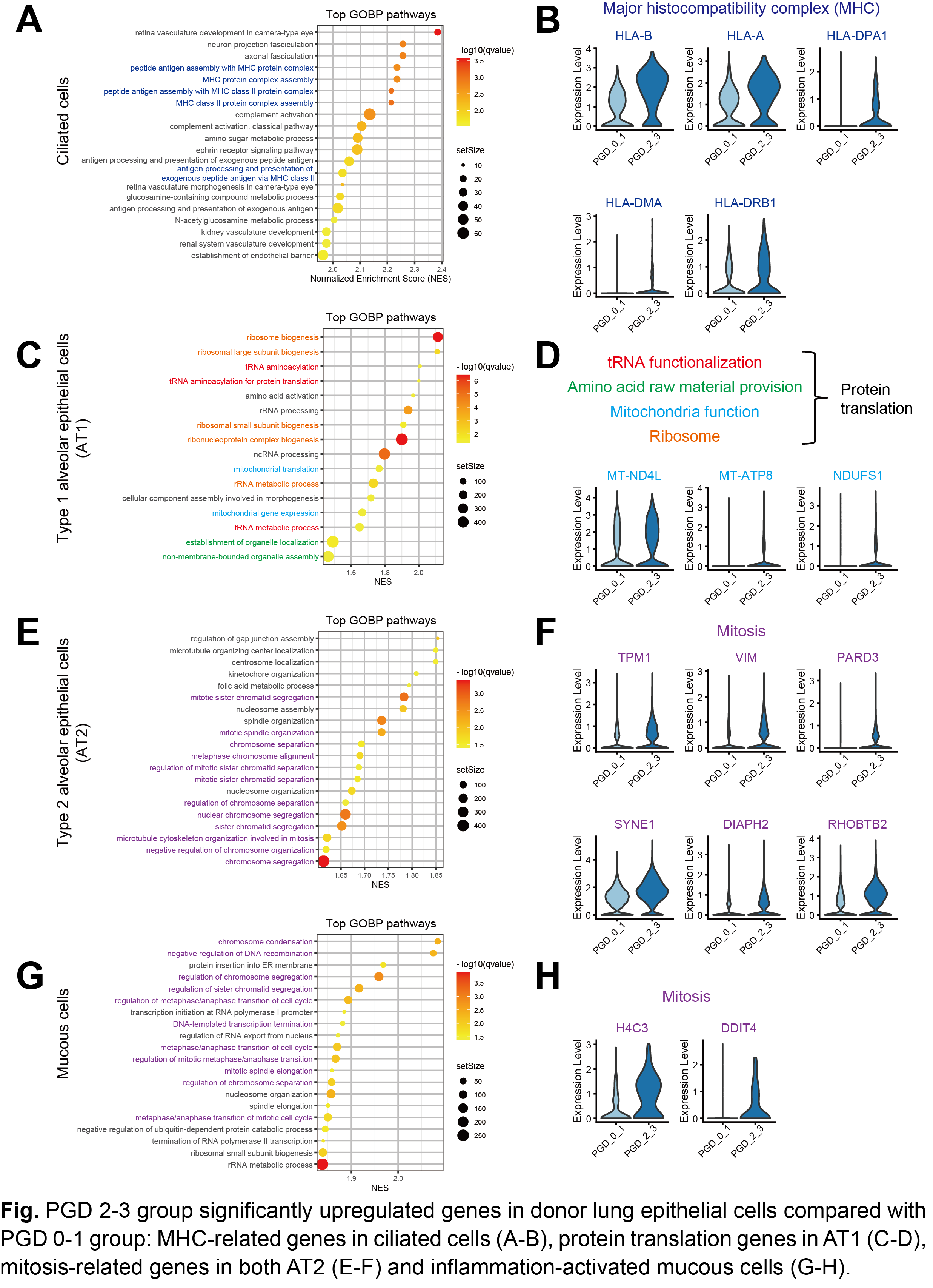 Featured Poster Presentation Graphic from Poster 429