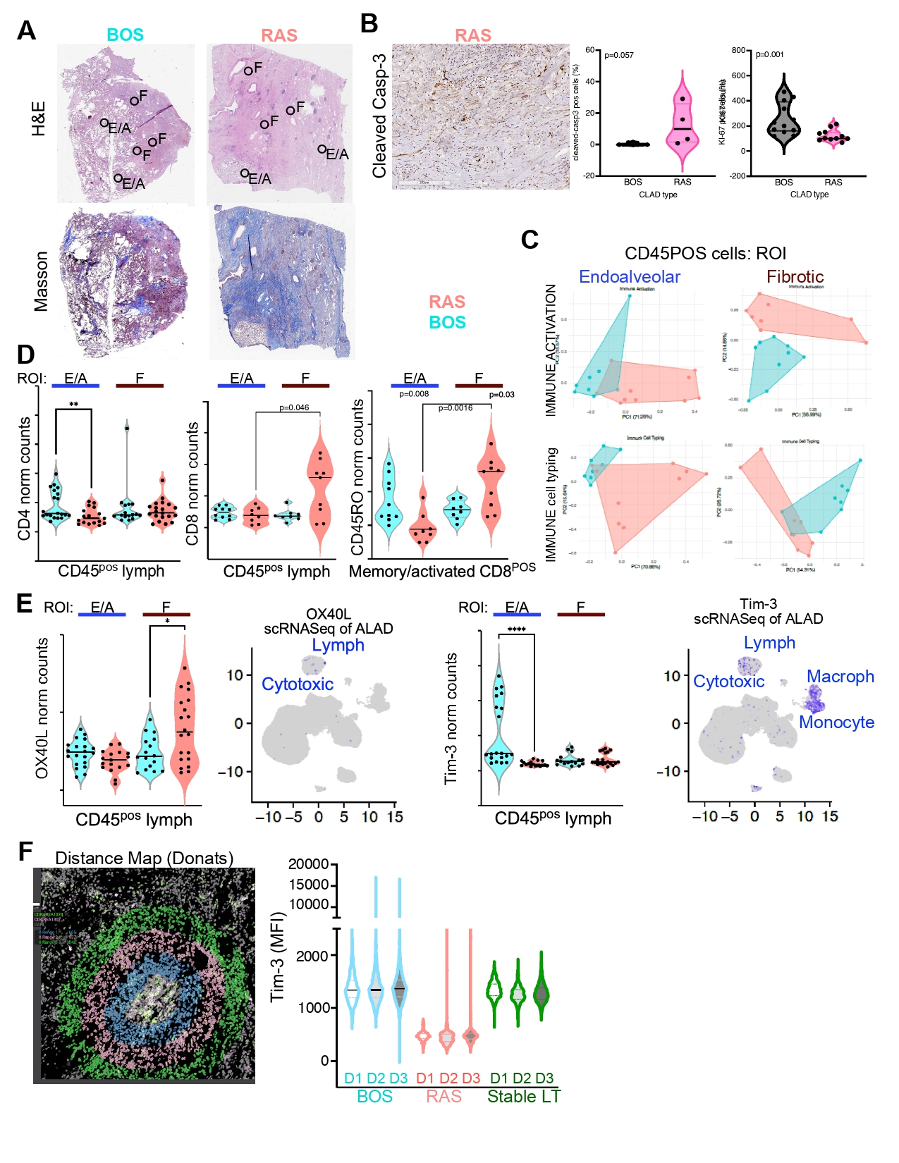 Featured Poster Presentation from Poster 456