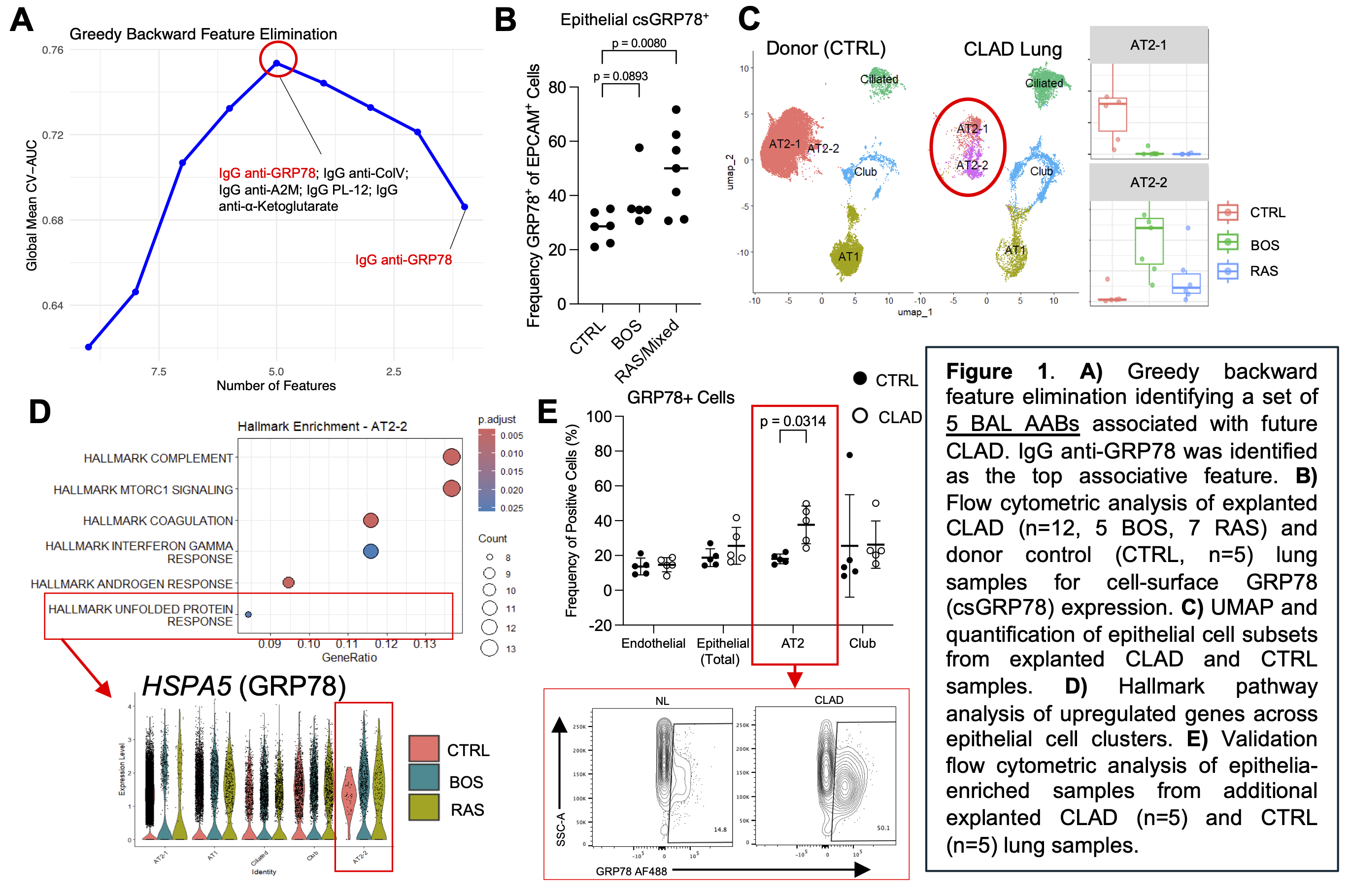 Featured Poster Presentation Graphic from Poster 448
