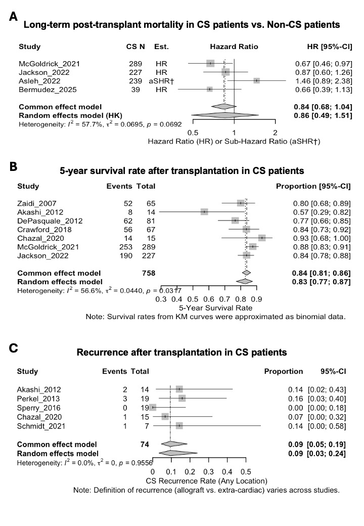 Featured Poster Presentation Graphic from Poster 453