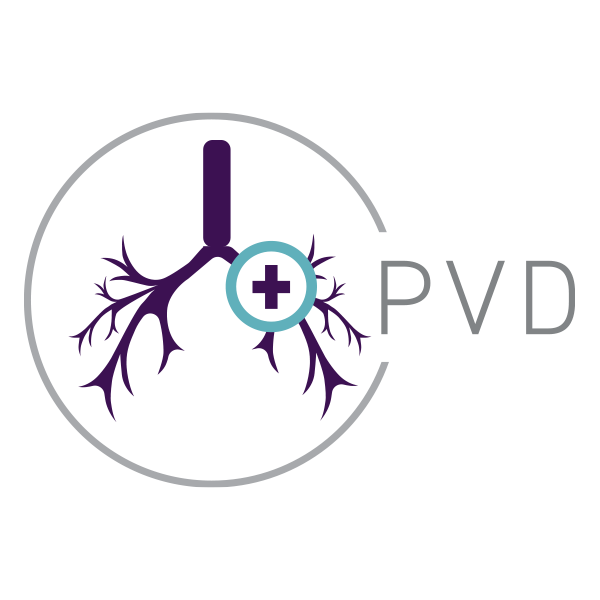 Pulmonary Vascular Disease (PAH & CTEPH) PVD